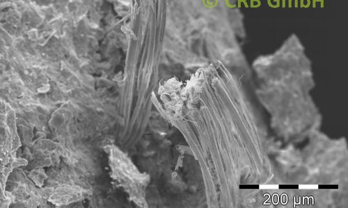 Immagine SEM crisotilo amianto in sokalite | © CRB Analysis Service GmbH