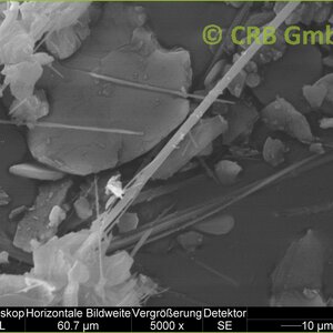 SEM-image antophyllite | © CRB Analyse Service GmbH