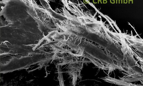 SEM-picture of chrysotile asbestos in linoleum | © CRB Analyse Service GmbH